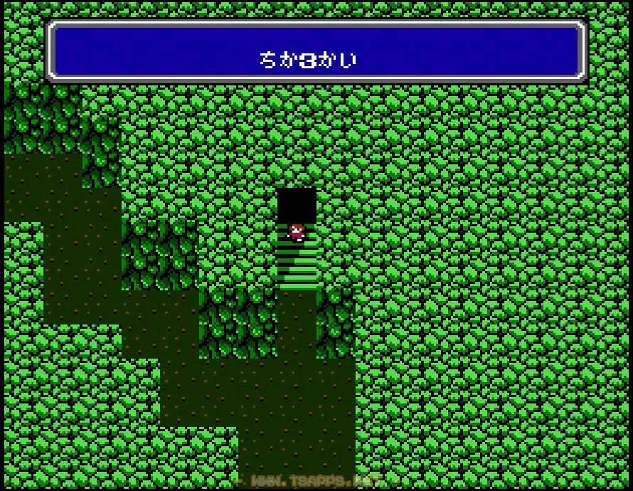 地下3階ではすぐ北西へ進み、そのまま道なりに南端へ