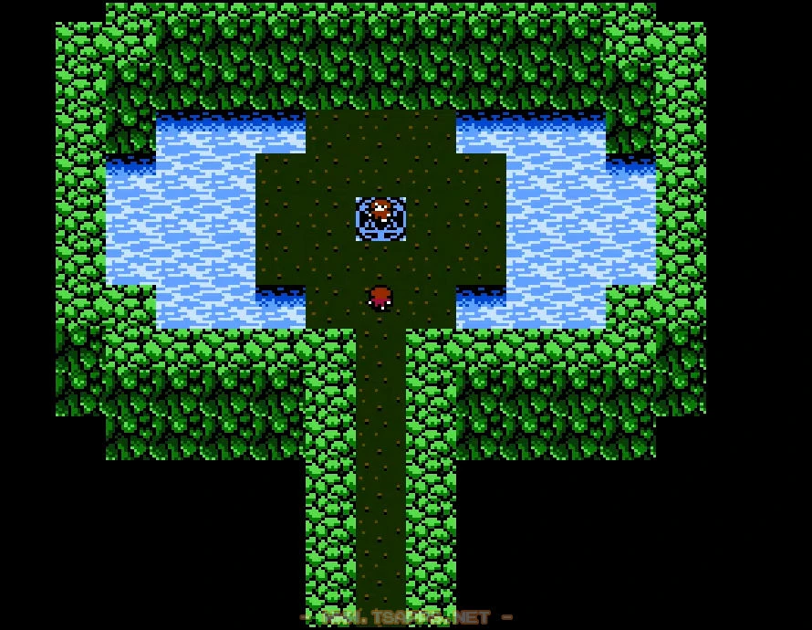 扉の奥には魔法陣！ドーガはここから闇の世界へ