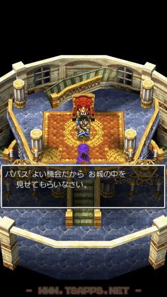 パパスと王様が話をしている間は自由行動