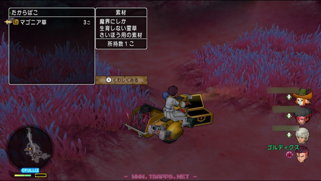 途中で見つけた黒宝箱にはマゴニア草も