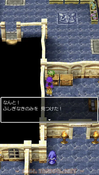 教会の奥にあるタンスからふしぎなきのみをゲット
