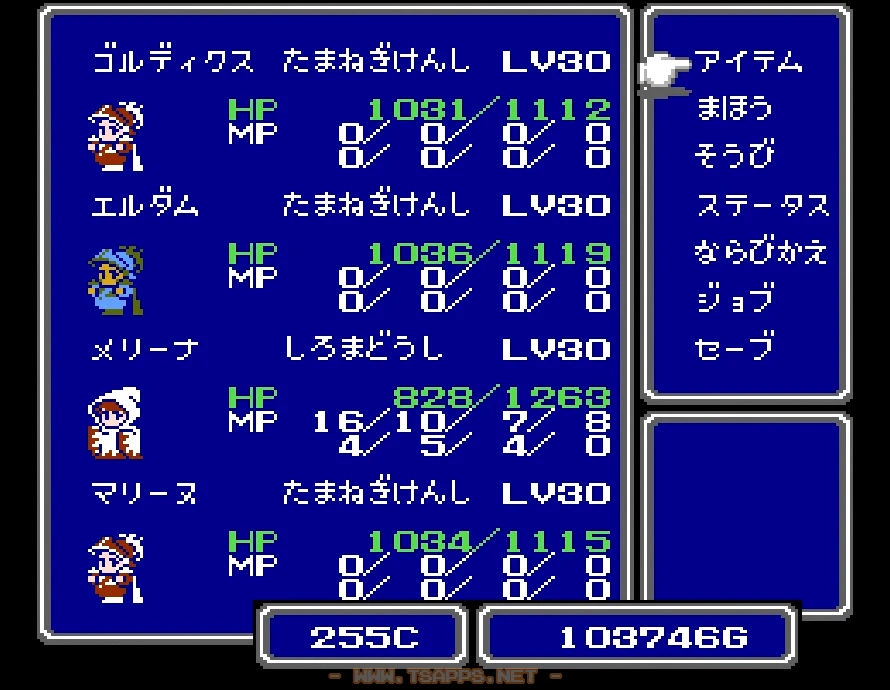 現在のレベルは30です