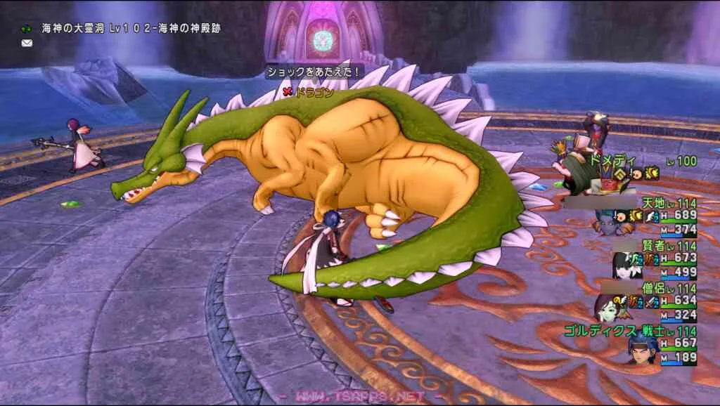 期限切れが近かったドラゴンカードも使いました