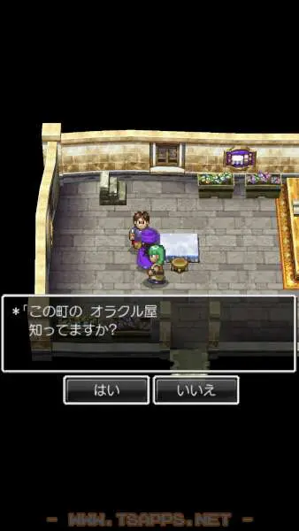 オラクル屋には珍品を置いているお店