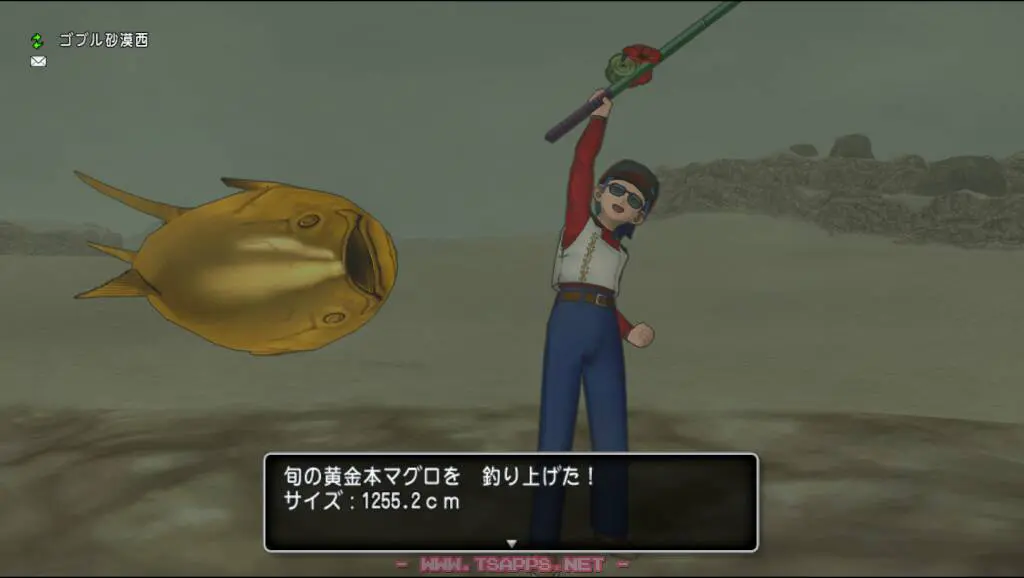 ちょっと小さいけど旬の黄金本マグロをゲット！