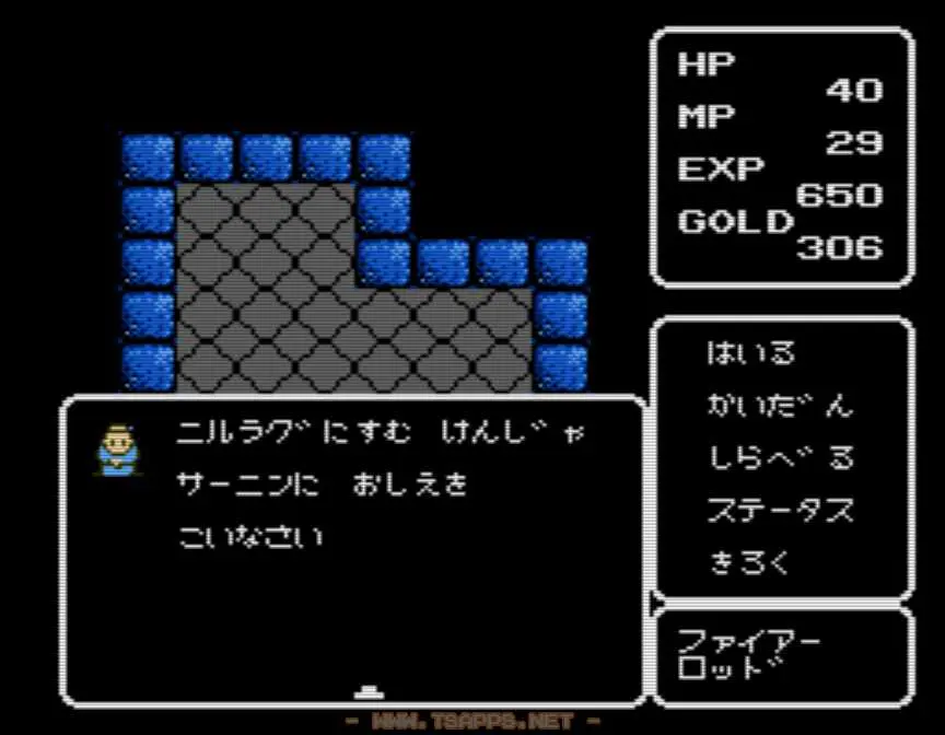 ニルラグに住む賢者サーニンに会う必要がありそう