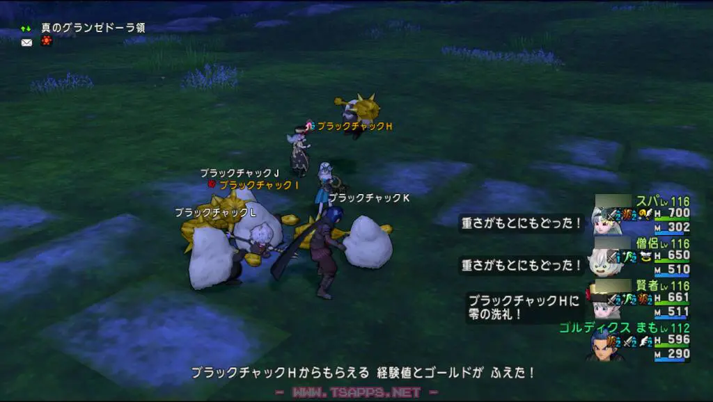 真の方でブラックチャックを