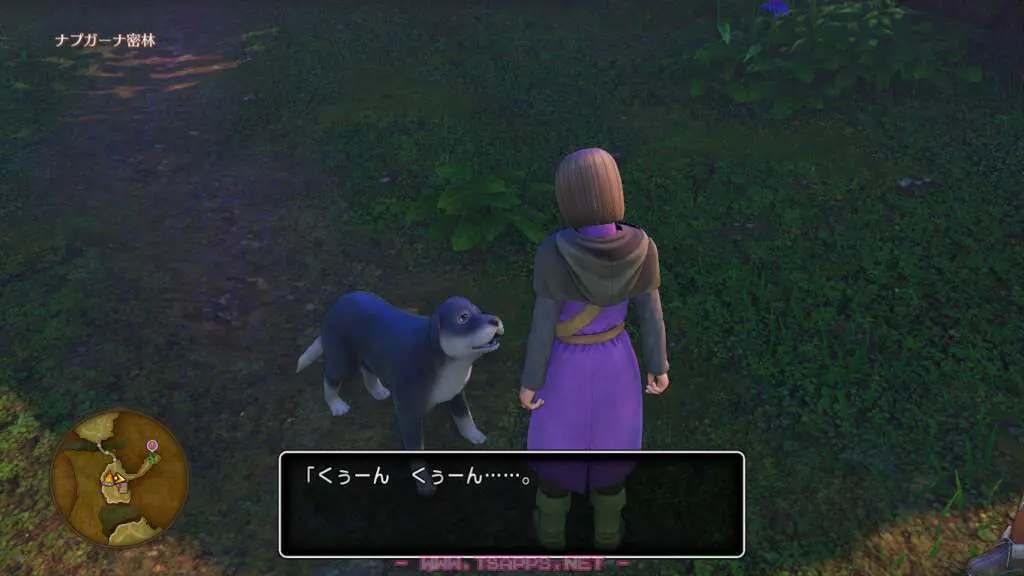 小屋の近くには人懐っこいワンちゃん