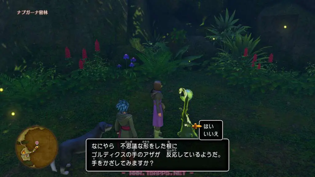 不思議な形をした根を発見