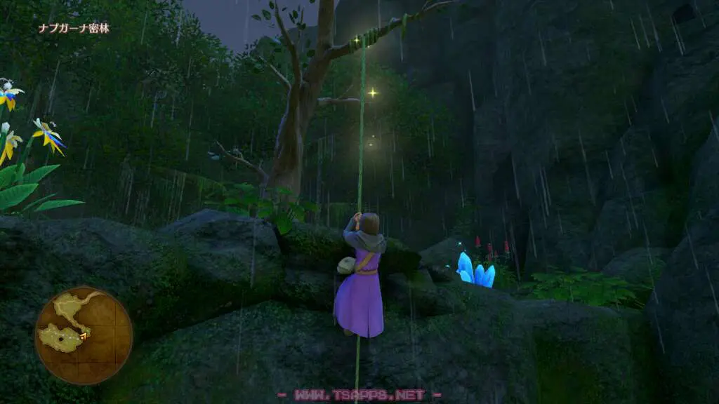 ツタをよじ登れば、どうのこうせきも！