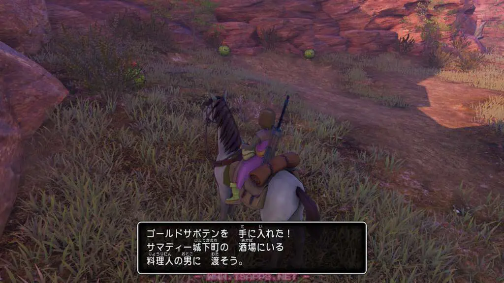 ゴールドサボテンが手に入りました