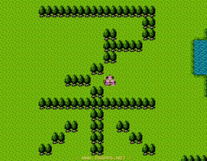 有名スポット・アホの木