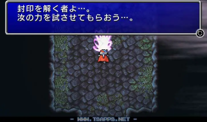 最後まで進むと封印の所でボス戦