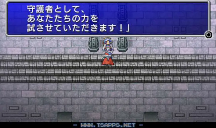 デュミオンに話しかけてボスバトル!