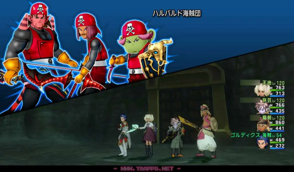 ハルバルド海賊団の3人とバトル