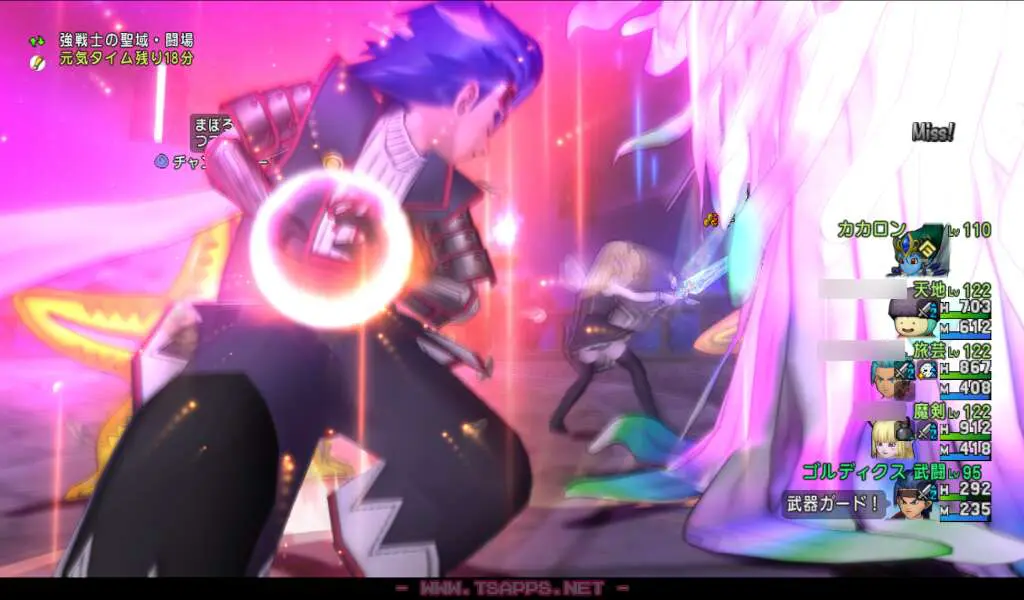 武闘家もLv100に少し近づきました