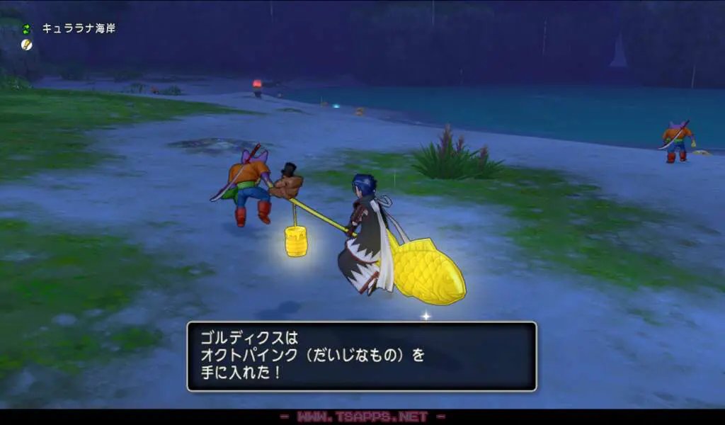 海岸の西側にいるタコメットを倒してゲット