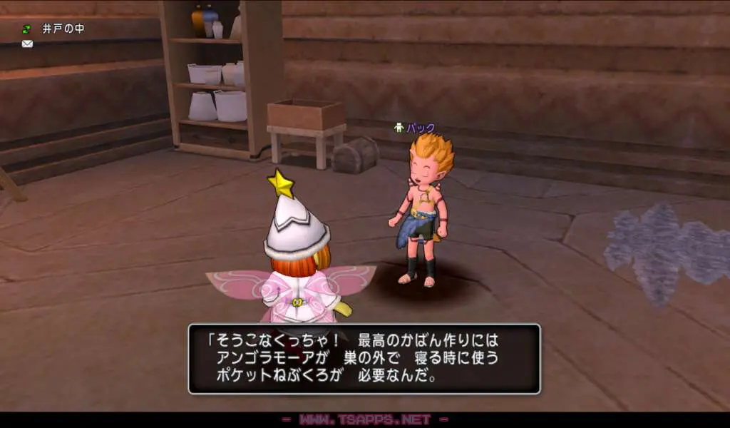 パックからクエストを受けてゴズ渓谷へ