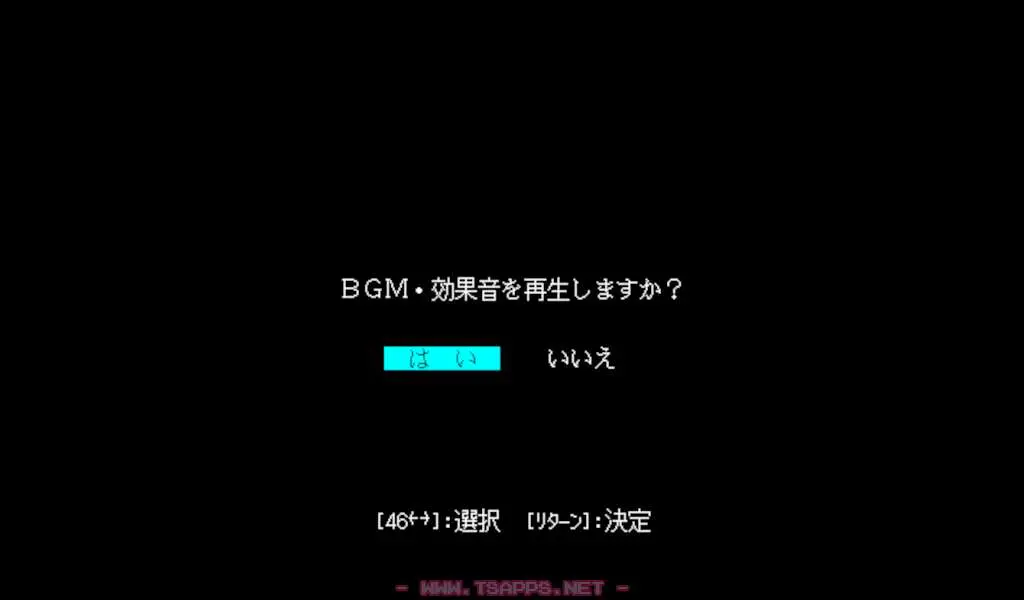 ゲーム起動時にはBGM・効果音のON/OFFを選択できます
